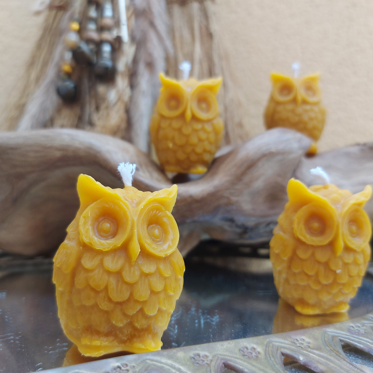 🦉 Búho en Cera de Abeja