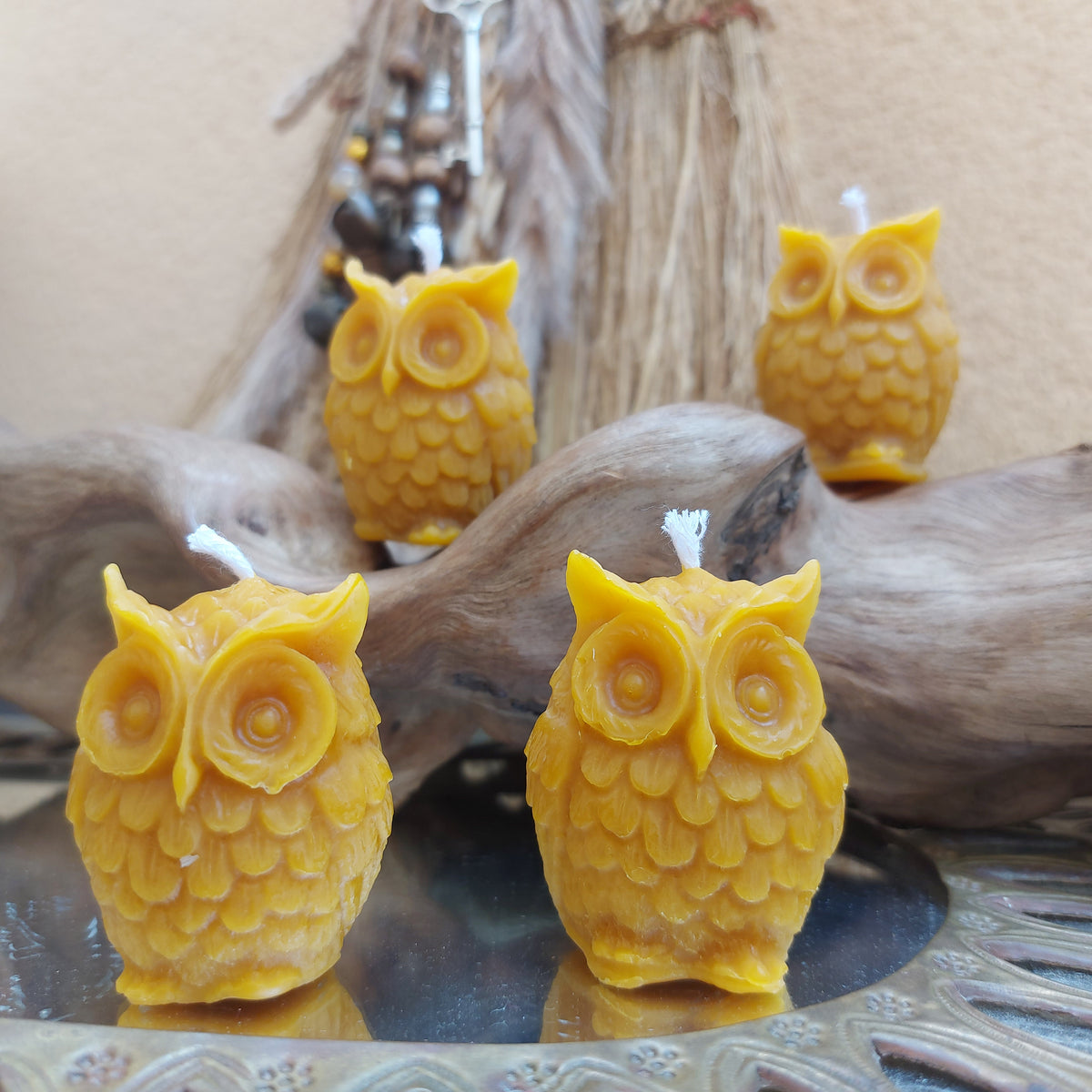🦉 Búho en Cera de Abeja