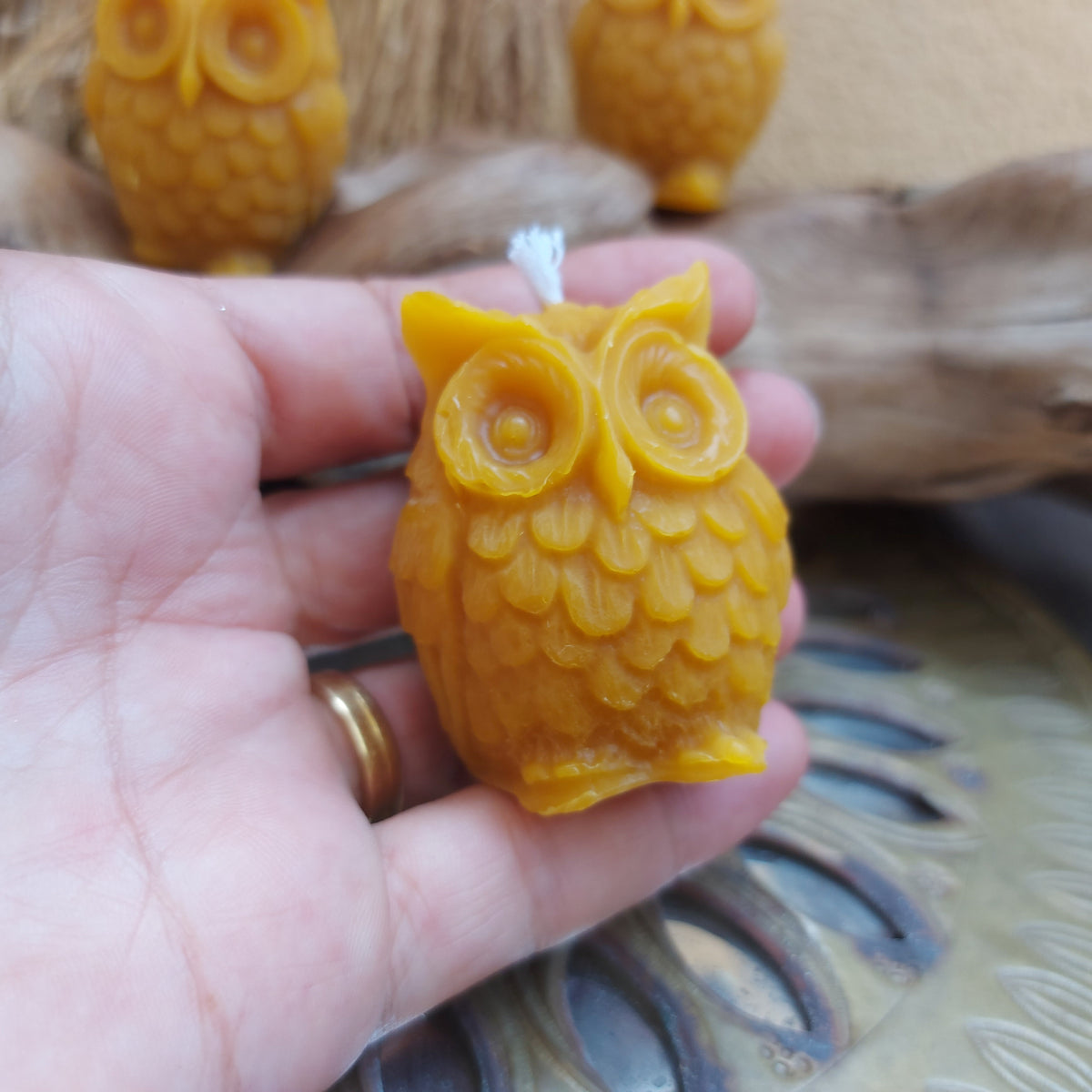 🦉 Búho en Cera de Abeja