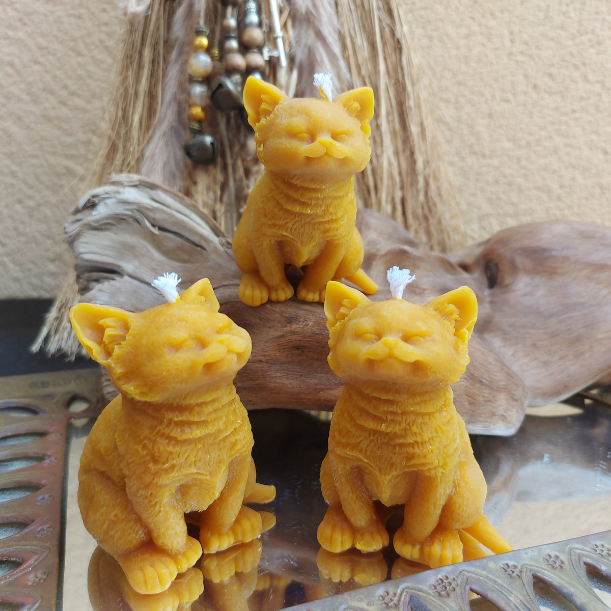 🐈 Gato en Cera de Abeja