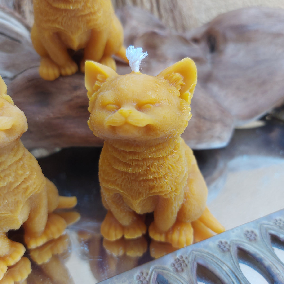 🐈 Gato en Cera de Abeja