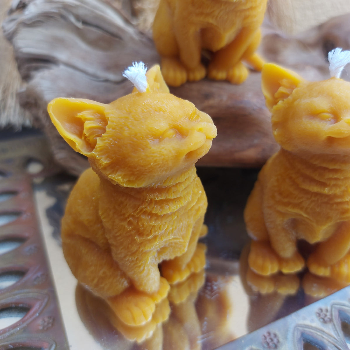 🐈 Gato en Cera de Abeja