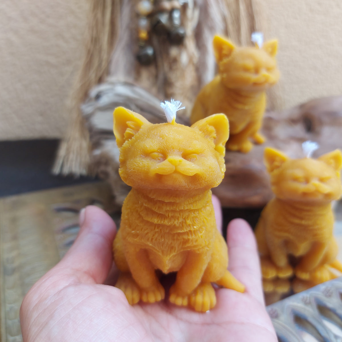 🐈 Gato en Cera de Abeja